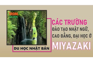 Danh sách các trường Nhật ngữ, Đại học, Cao đẳng ở tỉnh Miyagi (Nhật Bản)