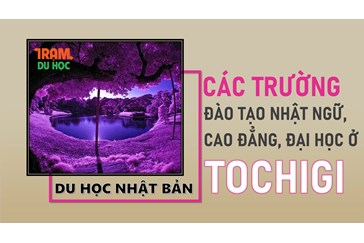 Danh sách các trường Nhật ngữ, Đại học, Cao đẳng ở tỉnh TOCHIGI (Nhật Bản)