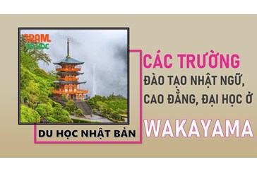 Danh sách các trường Nhật ngữ, Đại học, Cao đẳng ở tỉnh WAKAYAMA (Nhật Bản)