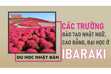 Danh sách các trường Nhật ngữ, Đại học, Cao đẳng ở tỉnh Ibaraki (Nhật Bản)